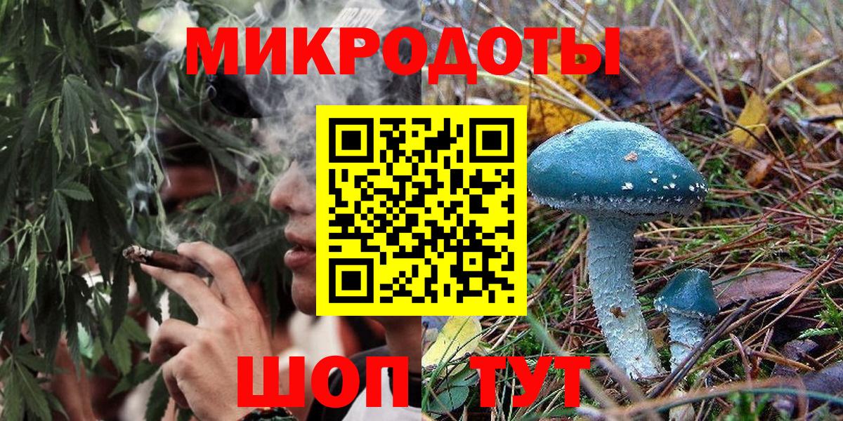 Псилоцибиновые грибы Cubensis Кунгур
